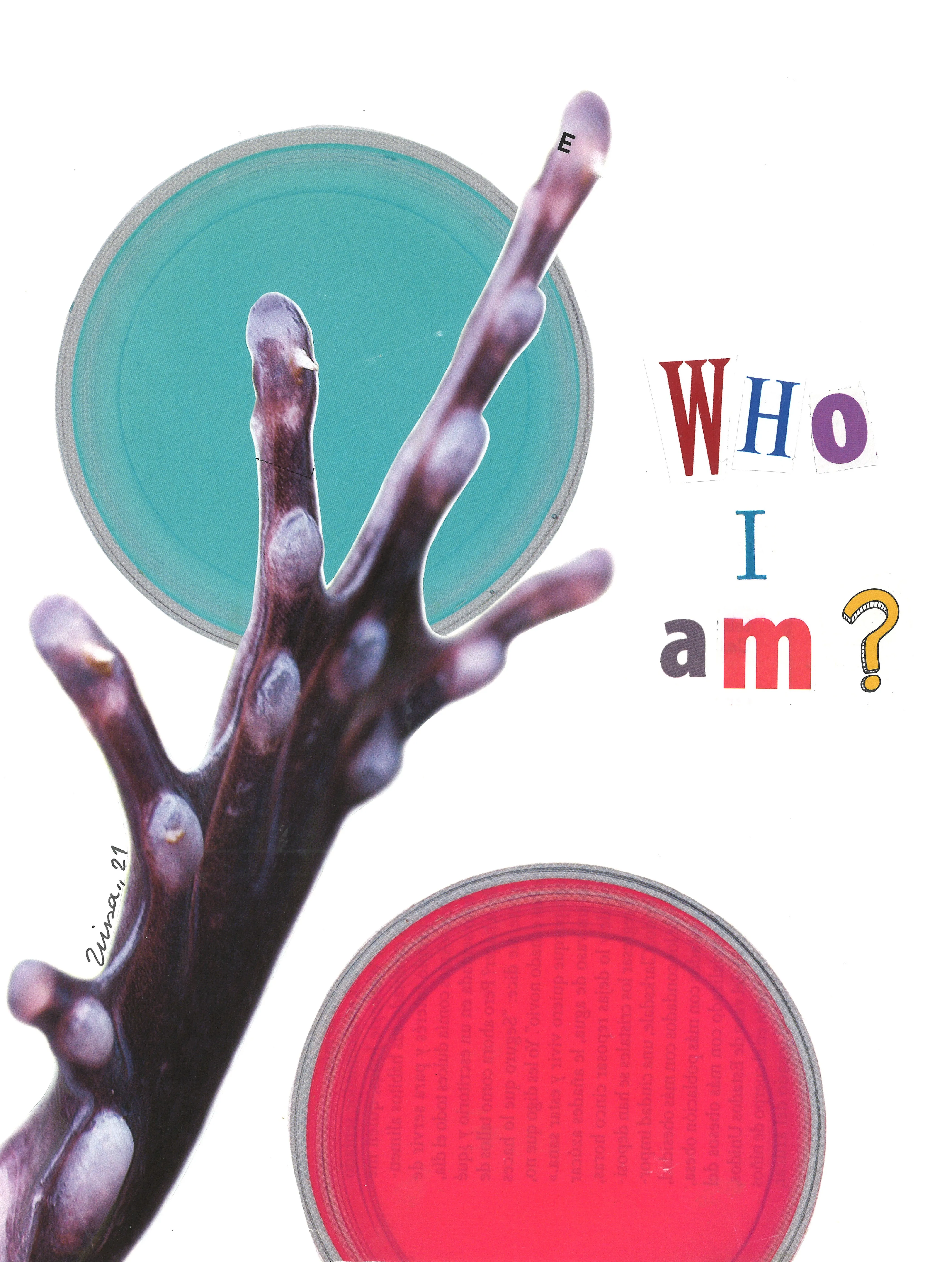 Who I Am